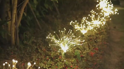 Solar Fireworks Luminous Light