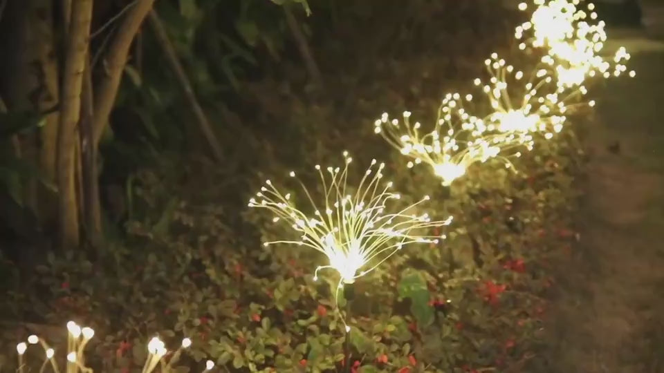 Solar Fireworks Luminous Light